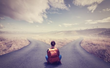 Why We Choose, What We Choose?