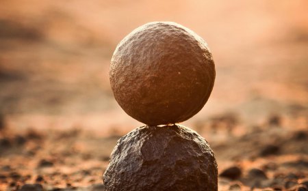 The Art of Choice: Logic vs Intuition