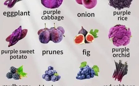 Purple enters the brain