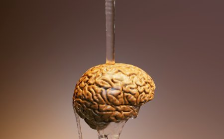 Fluid Intelligence (Gf)