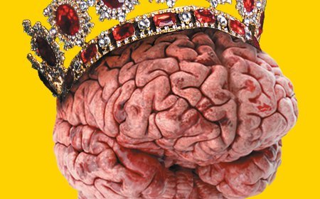 Successful Intelligence