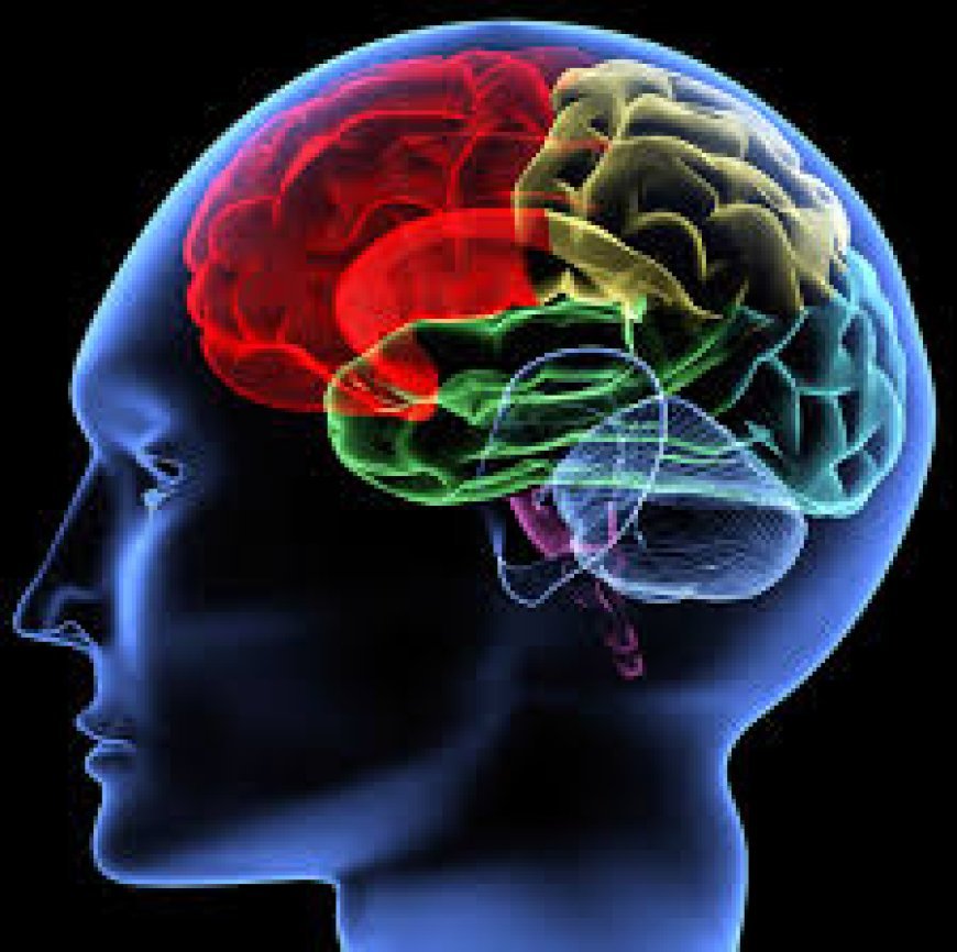 The Enigma of Memory