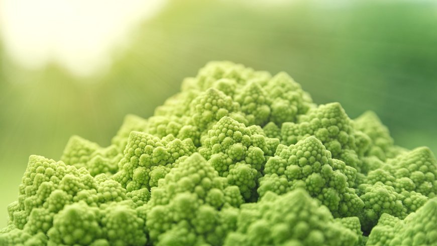 A guide to tropic levels and specialized diets