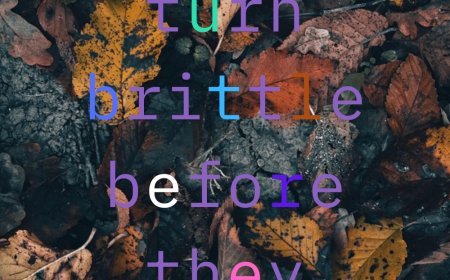 And its not about leaves