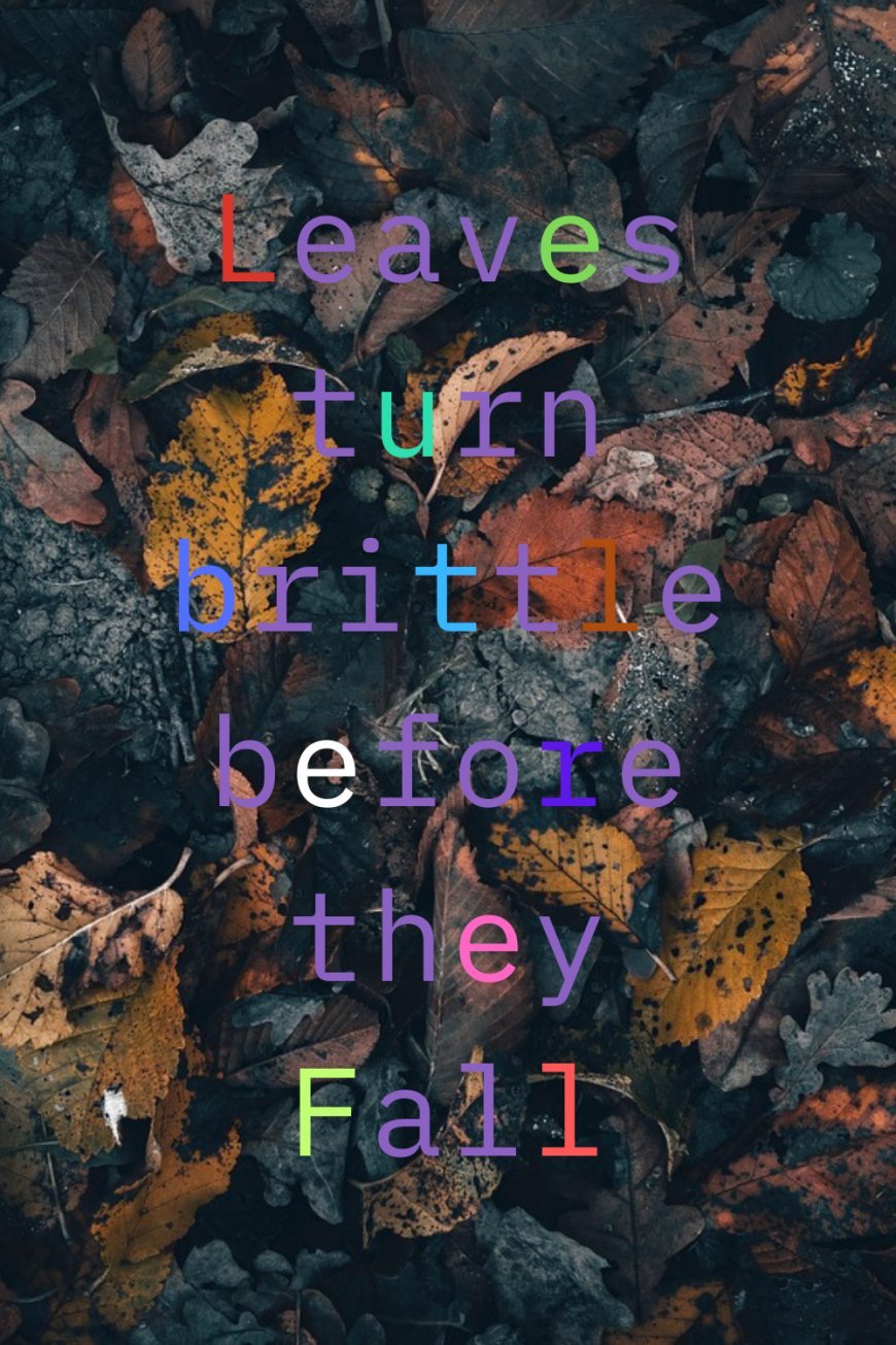And its not about leaves