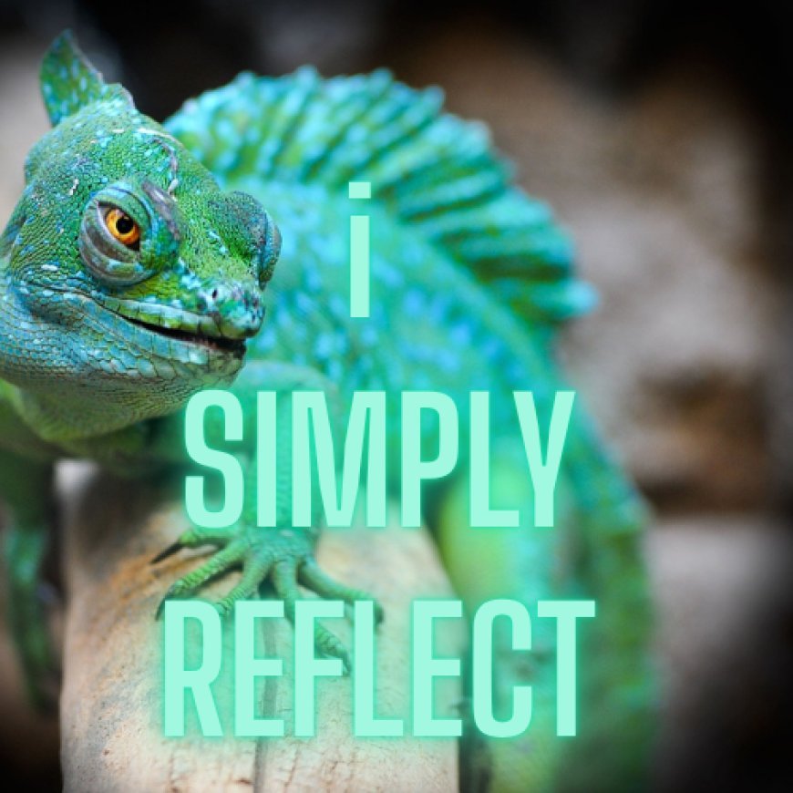 Reflect